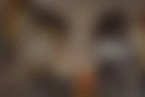 Квест «Алкогольный квест "Сухой закон"» от Nosferatu