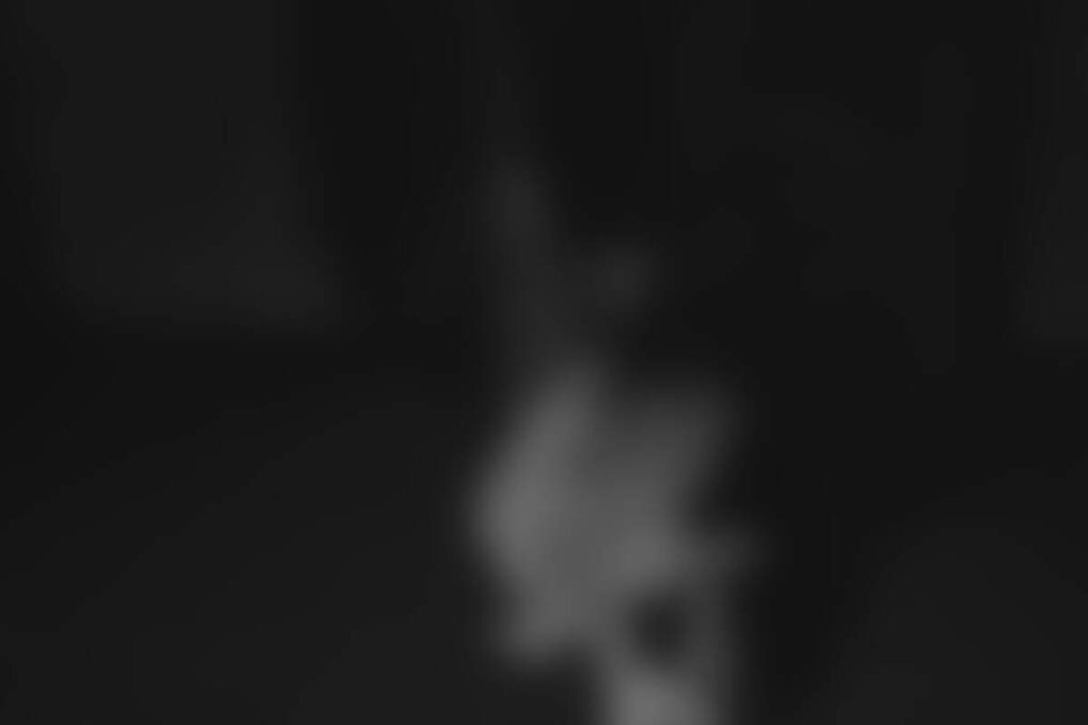 Фотография экшн-игры Прятки от компании Nosferatu (Фото 3)