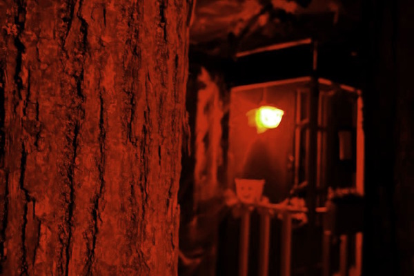 Дом Майкла Майерса