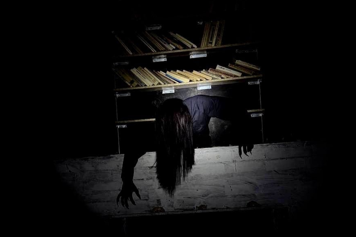 Фотография перформанса Мара: пожирательница снов от компании Nosferatu (Фото 3)